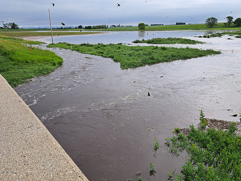 Mill Creek Flooding Halts Traffic